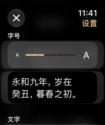 阅读设置中的字号滑块和示例文字